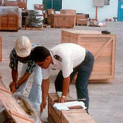 Cargo inspection at the port